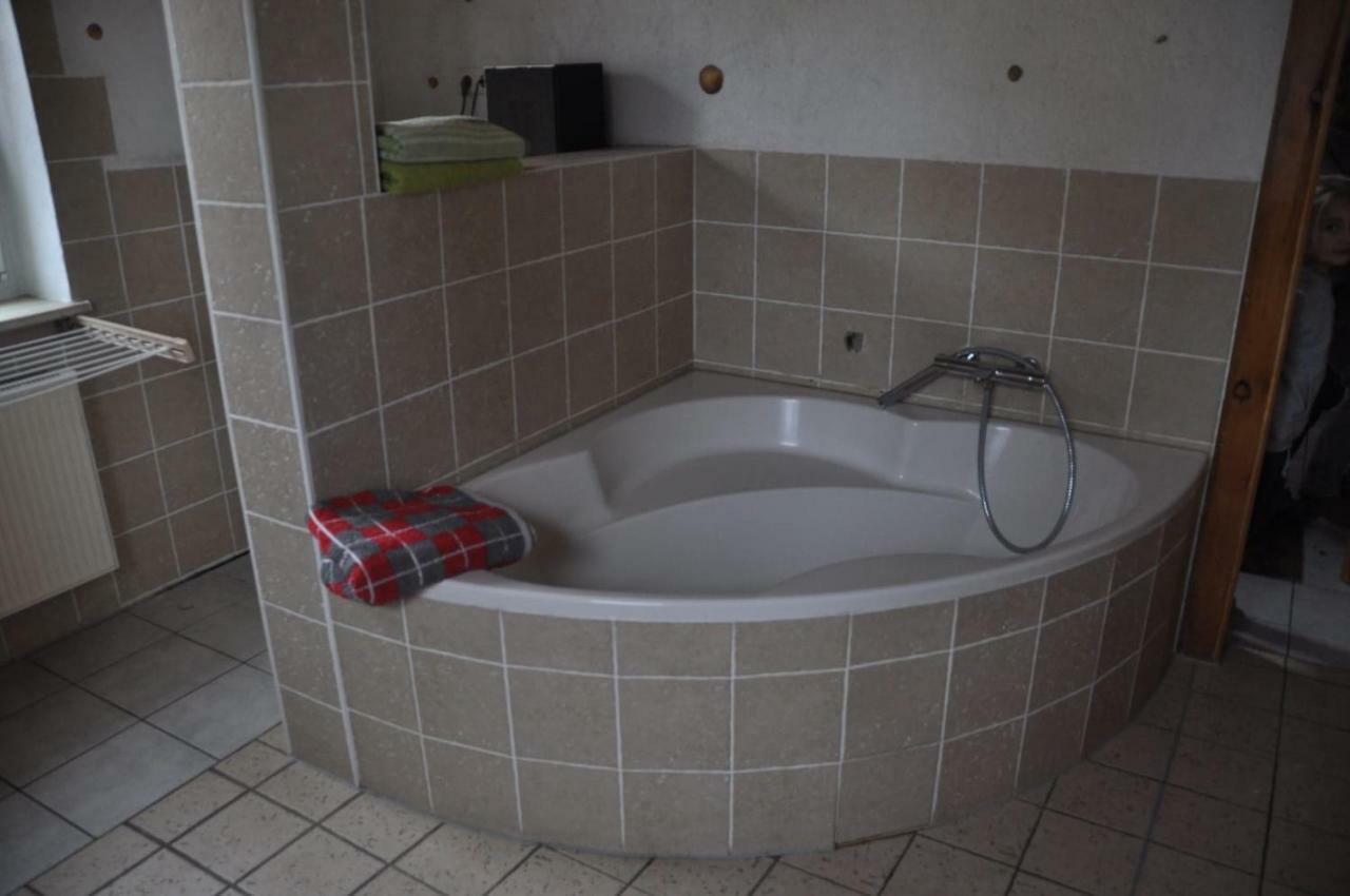 Ferienwohnung Am Park Pegau Екстер'єр фото